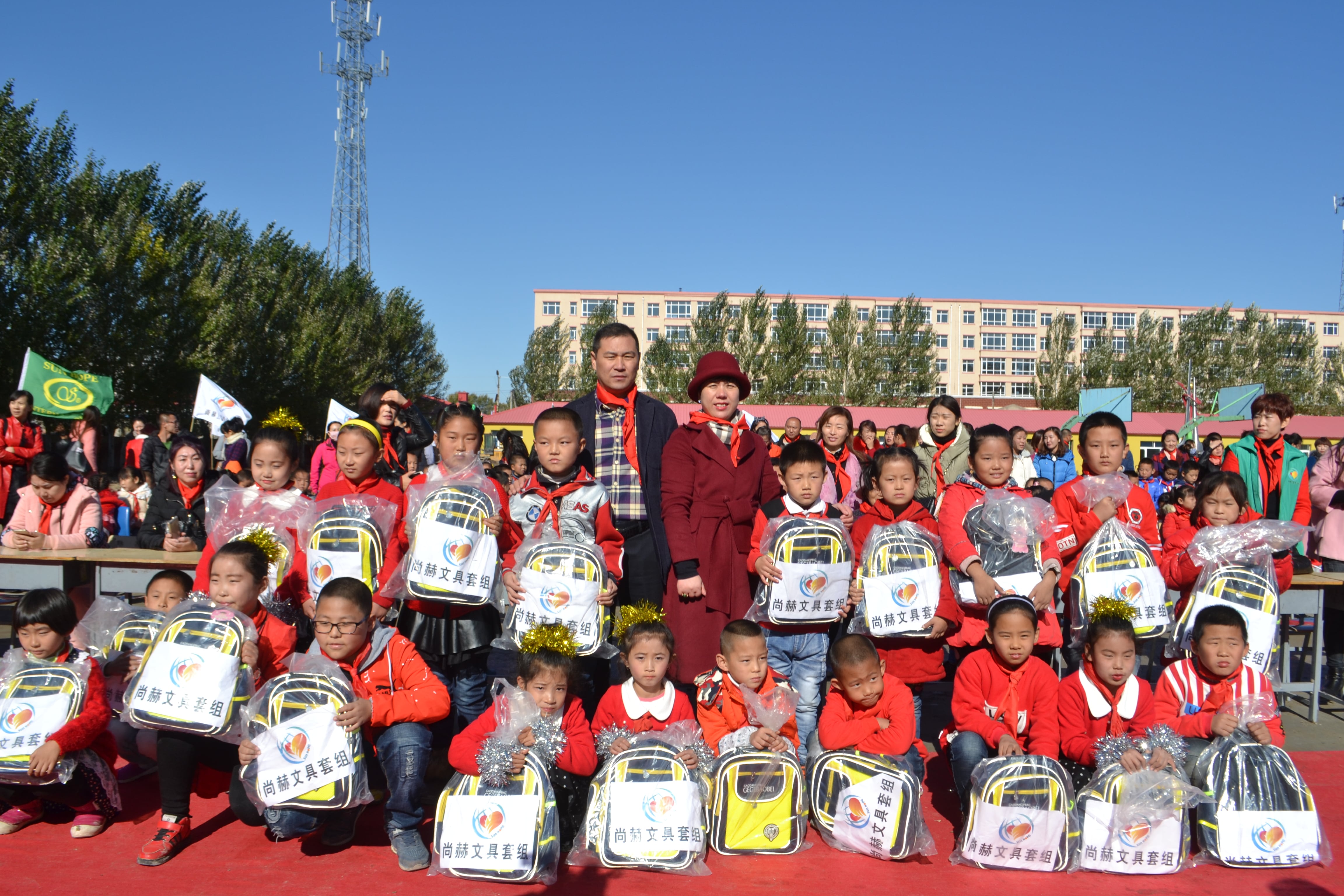 第71所 绥化市兰西县奋斗乡九游官方网站蔡立影小学