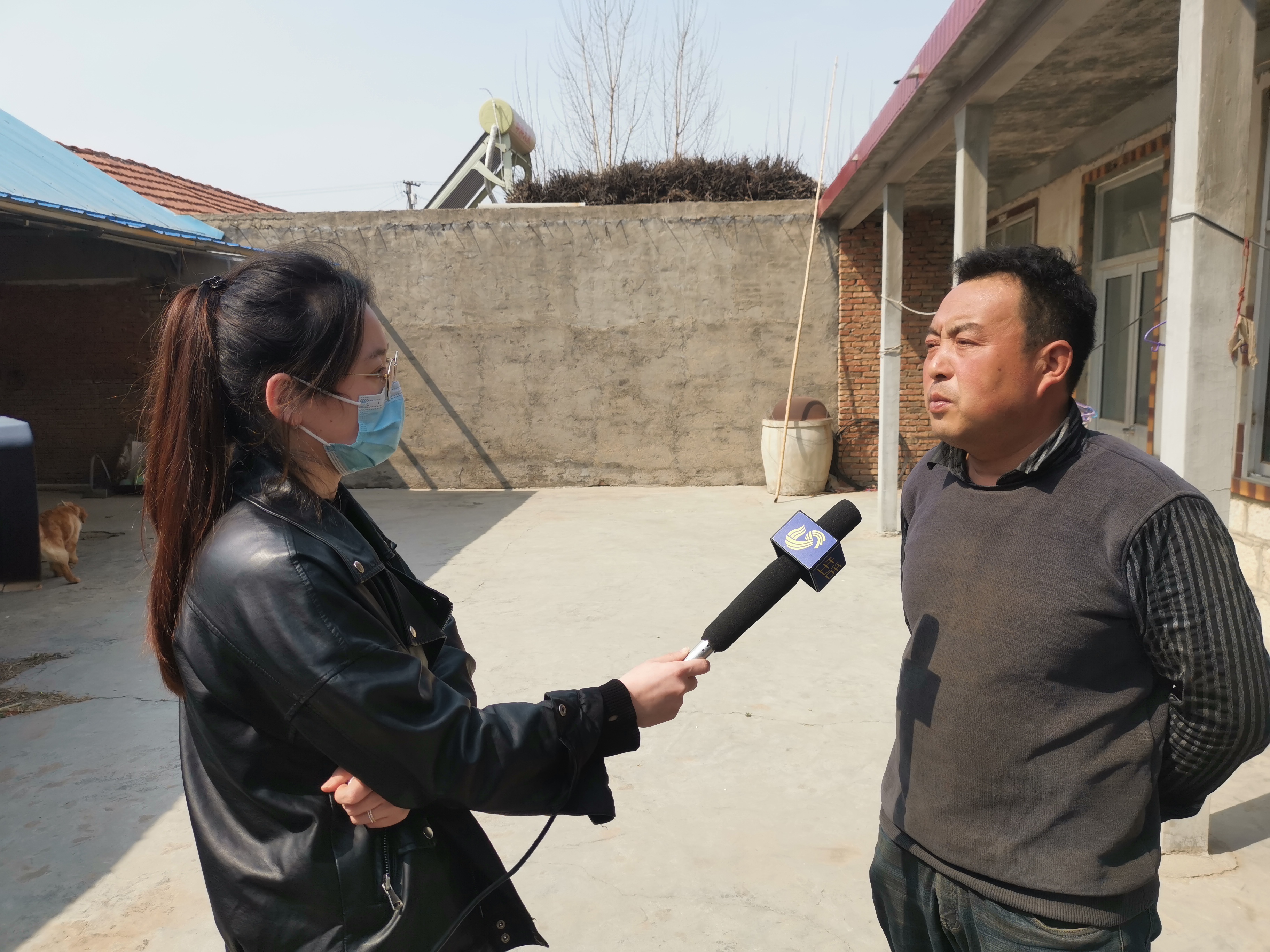 第209所 平度市崔家集镇状元府九游官方网站刘丽新小学