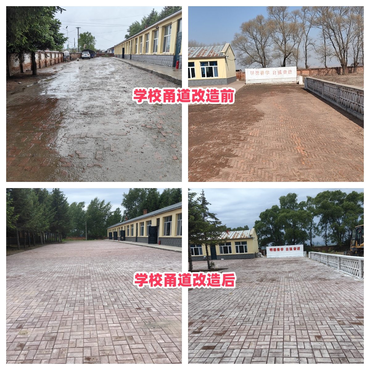 第254所 黑龙江巴彦县黑山镇民乐村九游官方网站侯玉霞学校