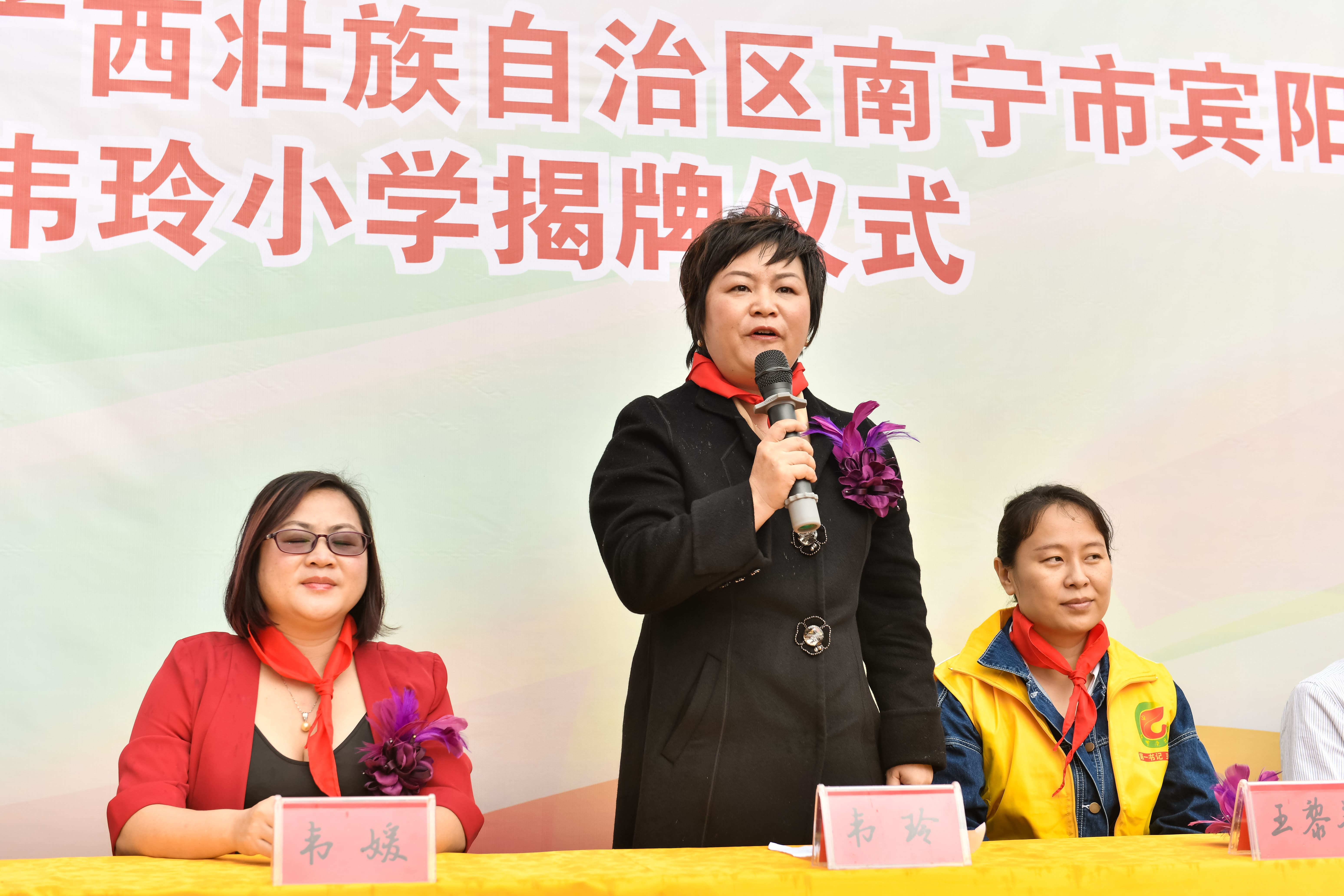 第184所  南宁市宾阳县思陇镇昆仑村九游官方网站韦玲小学